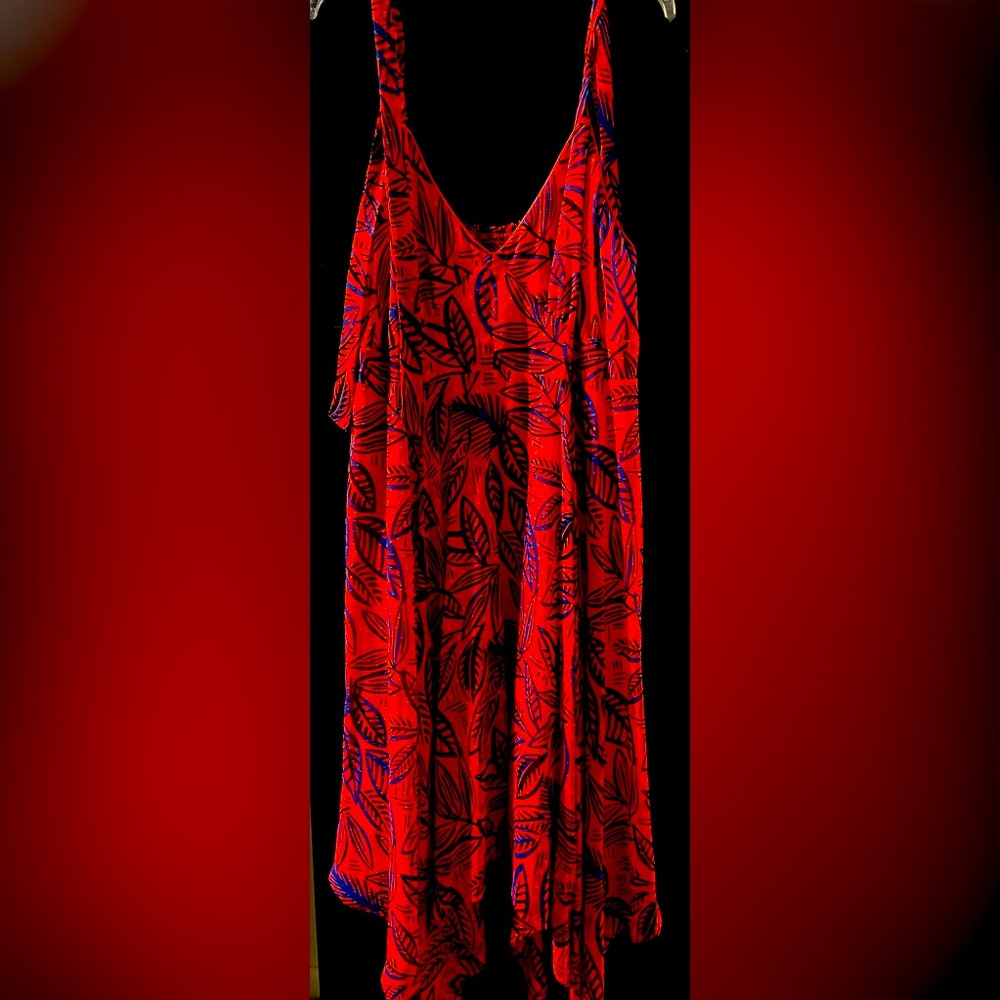 Burnt Red/Orange & Blue Botanical Dress